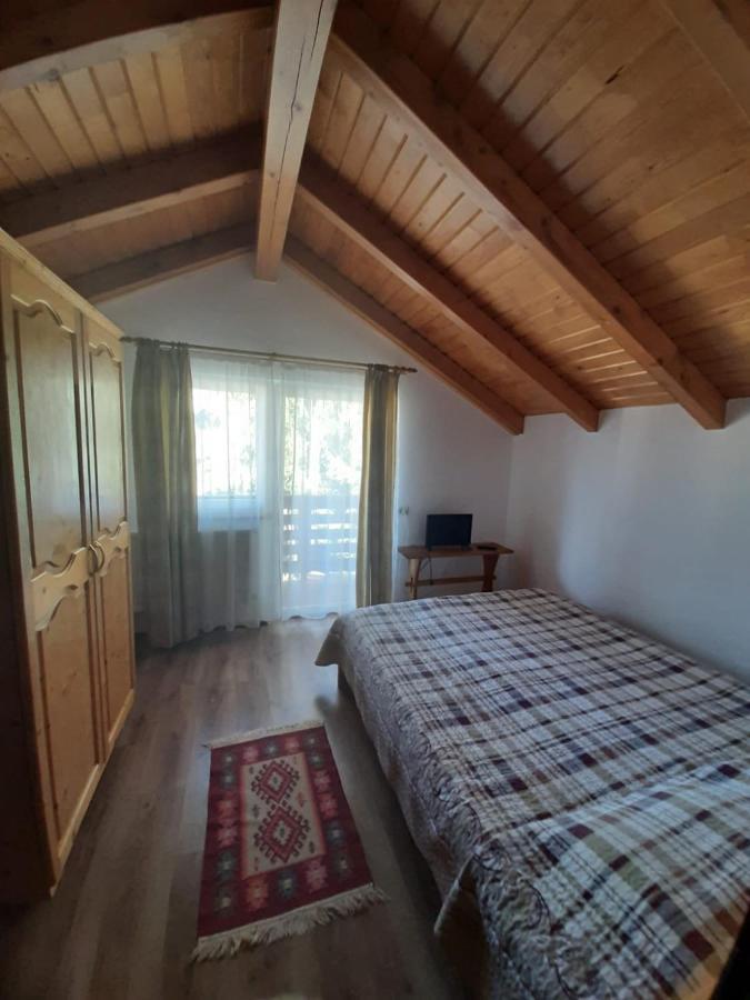 Casuta Pietrosul Rodnei Apartment Borsa  Bagian luar foto