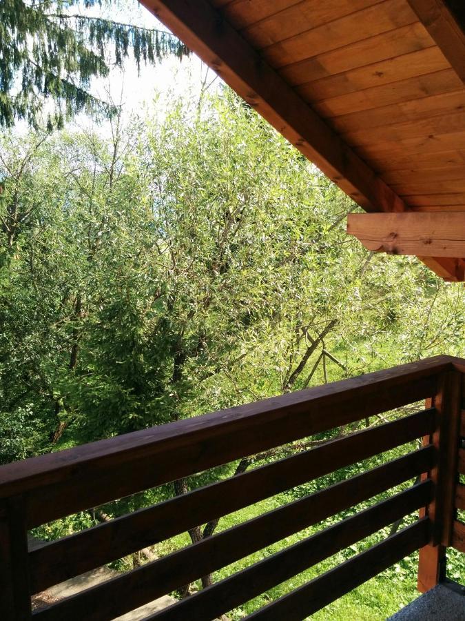 Casuta Pietrosul Rodnei Apartment Borsa  Bagian luar foto