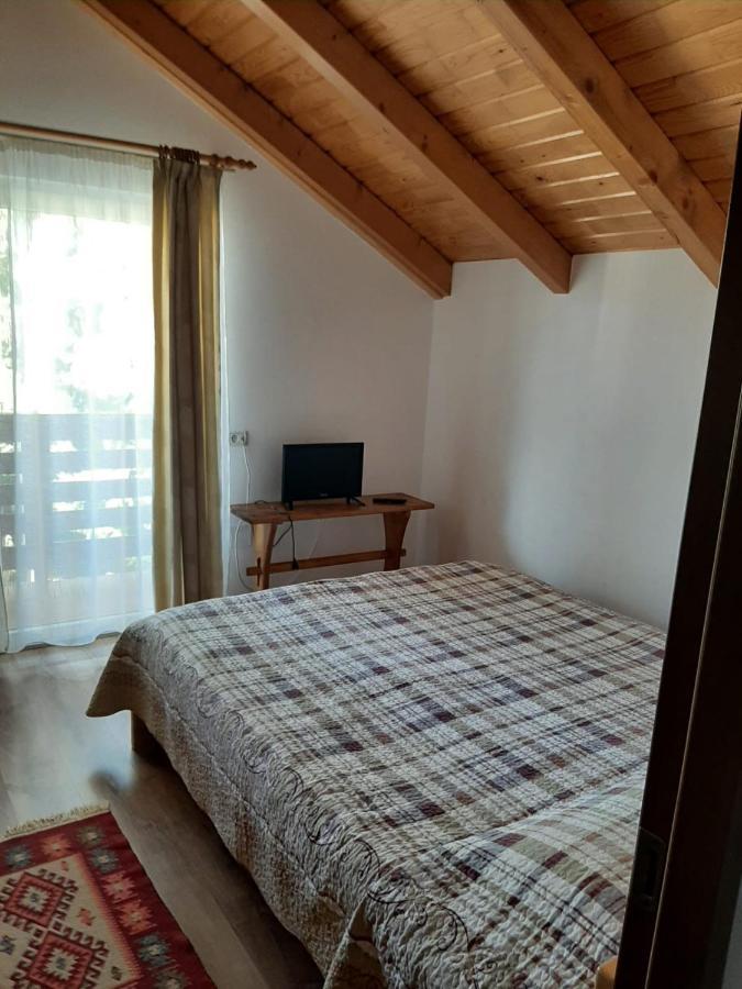 Casuta Pietrosul Rodnei Apartment Borsa  Bagian luar foto