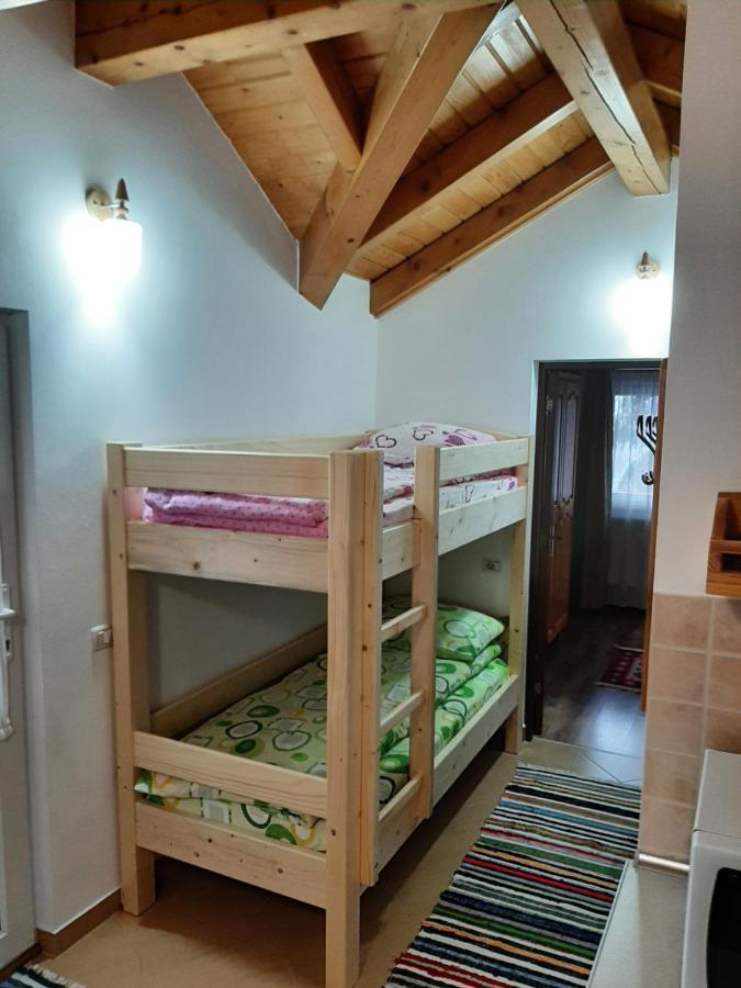 Casuta Pietrosul Rodnei Apartment Borsa  Bagian luar foto